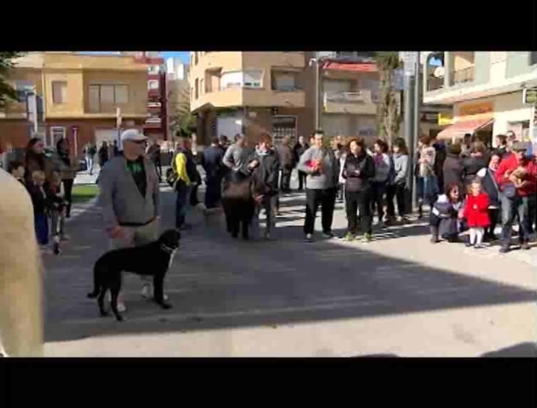 Bendición de animales en Torrevieja y La Mata
